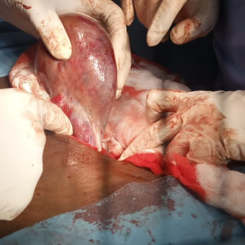 WhatsApp Image 2023-06-19 at 10.38.55 AM (1)